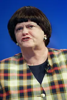 Widdecombe: Ann Widdecombe MP
