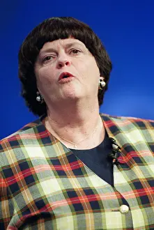 Widdecombe: Ann Widdecombe MP
