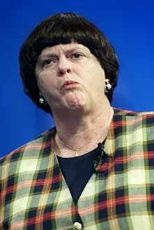 Widdecombe: Ann Widdecombe MP