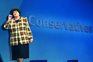 Widdecombe: Ann Widdecombe MP