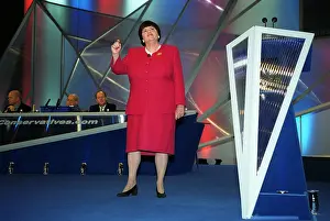 Widdecombe: Ann Widdecombe MP
