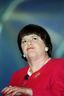 Widdecombe: Ann Widdecombe MP