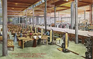 Budweiser: Annheuser-Busch brewing plant, St Louis, Missouri, USA