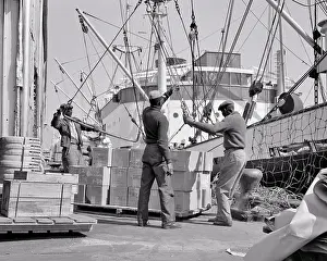Three Anonymous African-American Dock Workers