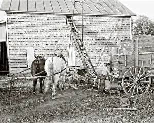 Conveyer: Anonymous Farm Boy Unloading Wagon