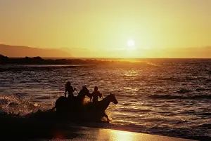 Banzai: Two Anonymous Riders on Horseback Riding in Surf at Sunset