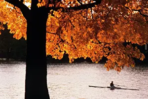 Sculling: Anonymous Silhouetted Single Scull Rower Rowing
