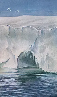 Crozier: ANTARCTIC/CAPE CROZIER