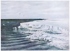 Crozier: ANTARCTIC/CAPE CROZIER