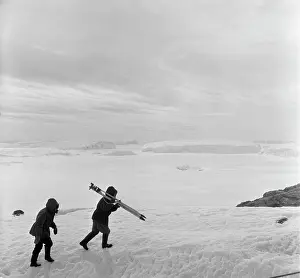 Koshevoy: Antarctica Exploration