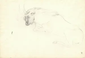 1754 1794: Antelope