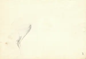 Hock: Antelope