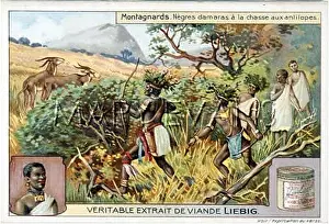 Damara: ANTELOPE HUNT LIEBIG