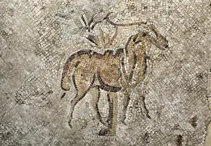 Madaba: Antelope mosaic, Museum of Madaba, Jordan