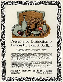 Brickfield: Anthony Hordern & Sons Advertisement