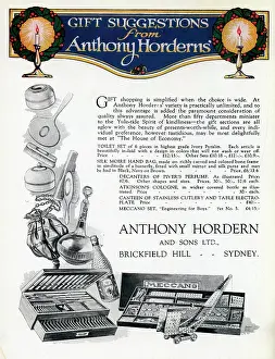 Brickfield: Anthony Hordern & Sons Advertisement