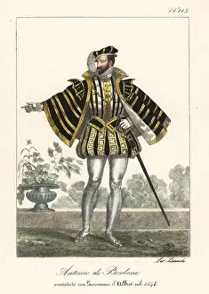 Short Cape: Anthony, King of Navarre