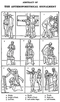 Forensic: The Anthropometrical Signalment, 1896