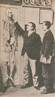 Forensic: Anthropometry