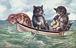 Seasick: Anthropomorphic cats