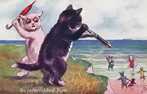 Brolly: Anthropomorphic cats