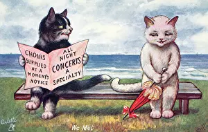 Ellam: Anthropomorphic cats