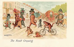Overseen: Anthropomorphic cats