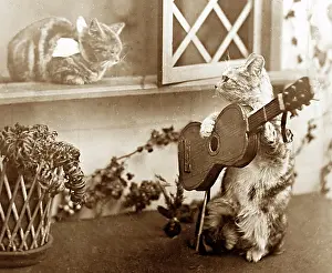 Serenading: Anthropomorphic cats, Victorian period