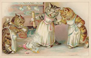 Tabbies: Anthropomorphic Humour