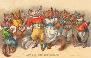 Lockyer: Anthropomorphic Humour