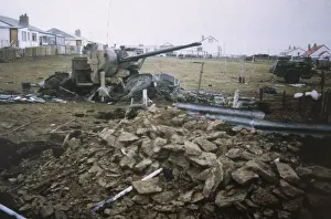 David Kirby: ANTI-AIRCRAFT GUN