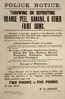 Skins: ANTI FRUIT THROWING SIGN