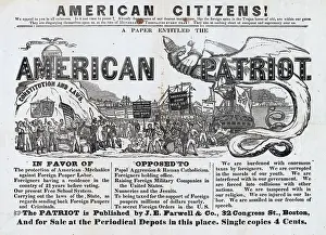 Nativist: Anti-Irish advertisement. An advertisement ?