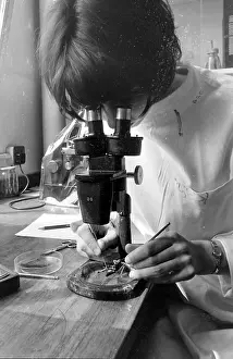 Pests: Anti-Locust Research Centre, London