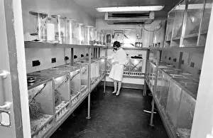 Perspex: Anti-Locust Research Centre, London