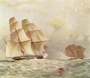 Acorn: ANTI-SLAVERY ACTION