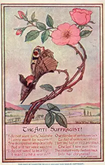 Ernestine: The Anti-Suffragist