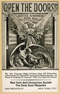 Vivisection: ANTI VIVISECTION POSTER
