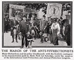Organisers: Anti-Vivisectionists march in Hyde Park 1909
