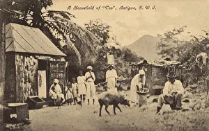 Antigua: Antigua - A household of 10