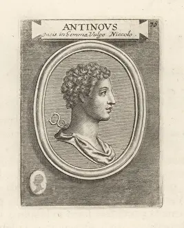 Nicolo: Antinous, lover of the Roman Emperor Hadrian