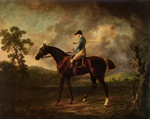 Pilkington: Antinous and Pilkington, by Stubbs