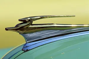 Wll003: Antique Hood Ornaments