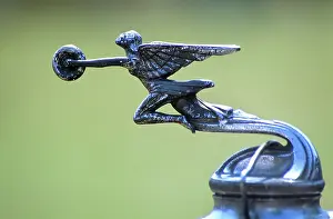 Wll003: Antique Hood Ornaments