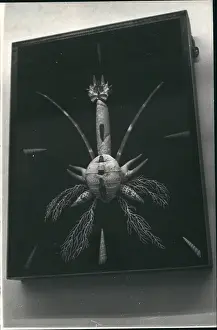 Lobsters: Antiques - Art - Ceramics - Murals - Paint