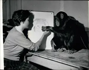 Chimps: Antiques - Art - Ceramics - Murals - Paint