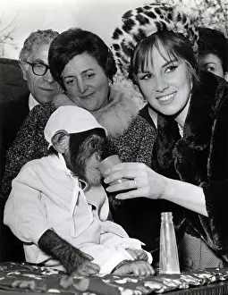 Lola: Antonella Lualdi