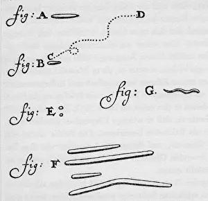 Detected: Antoni van Leeuwenhoek
