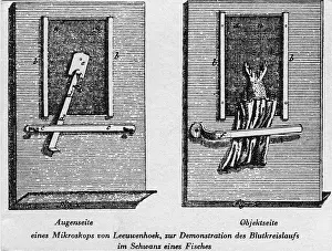 Microscopes: Antoni van Leeuwenhoek