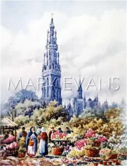 Verte: ANTWERP/PLACE VERTE